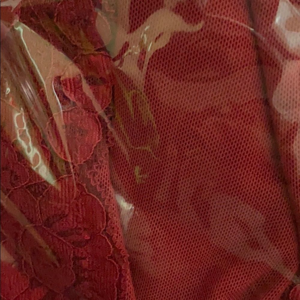 Lace Mesh Chemise - Picture 3 of 3